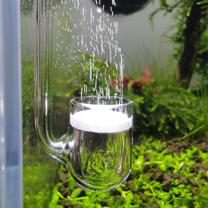 Aquarium Plant No Co2 - D0AD Glass CO2 Diffuser for Aquarium,