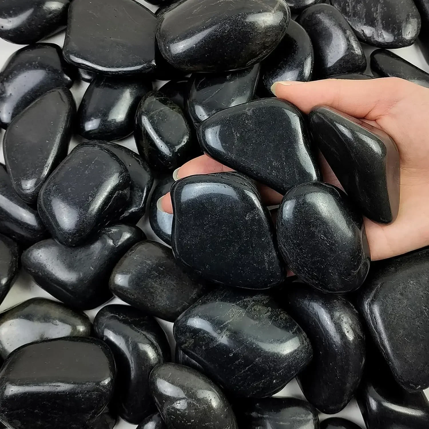 Planted Aquarium With Rocks - 40 lbs Black River Rocks for