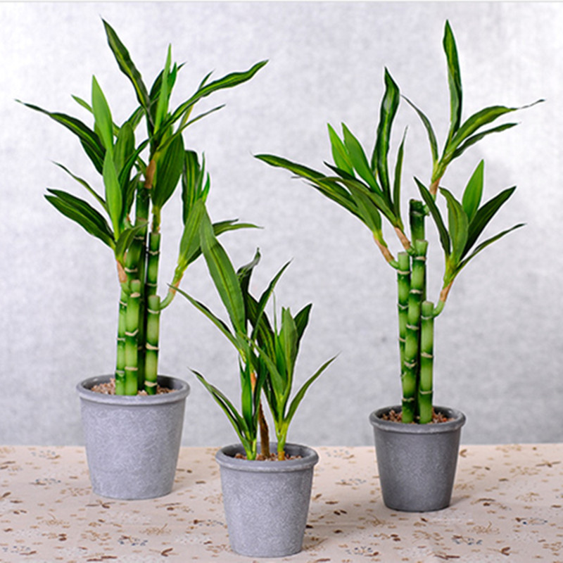 New 40cm Artificial Lucky Bamb - Aquarium Plant Nursery recension och pris