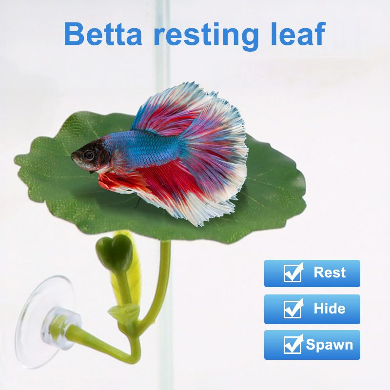 Green Leaf Hammock For Betta F - Planted Aquarium For Betta recension och pris
