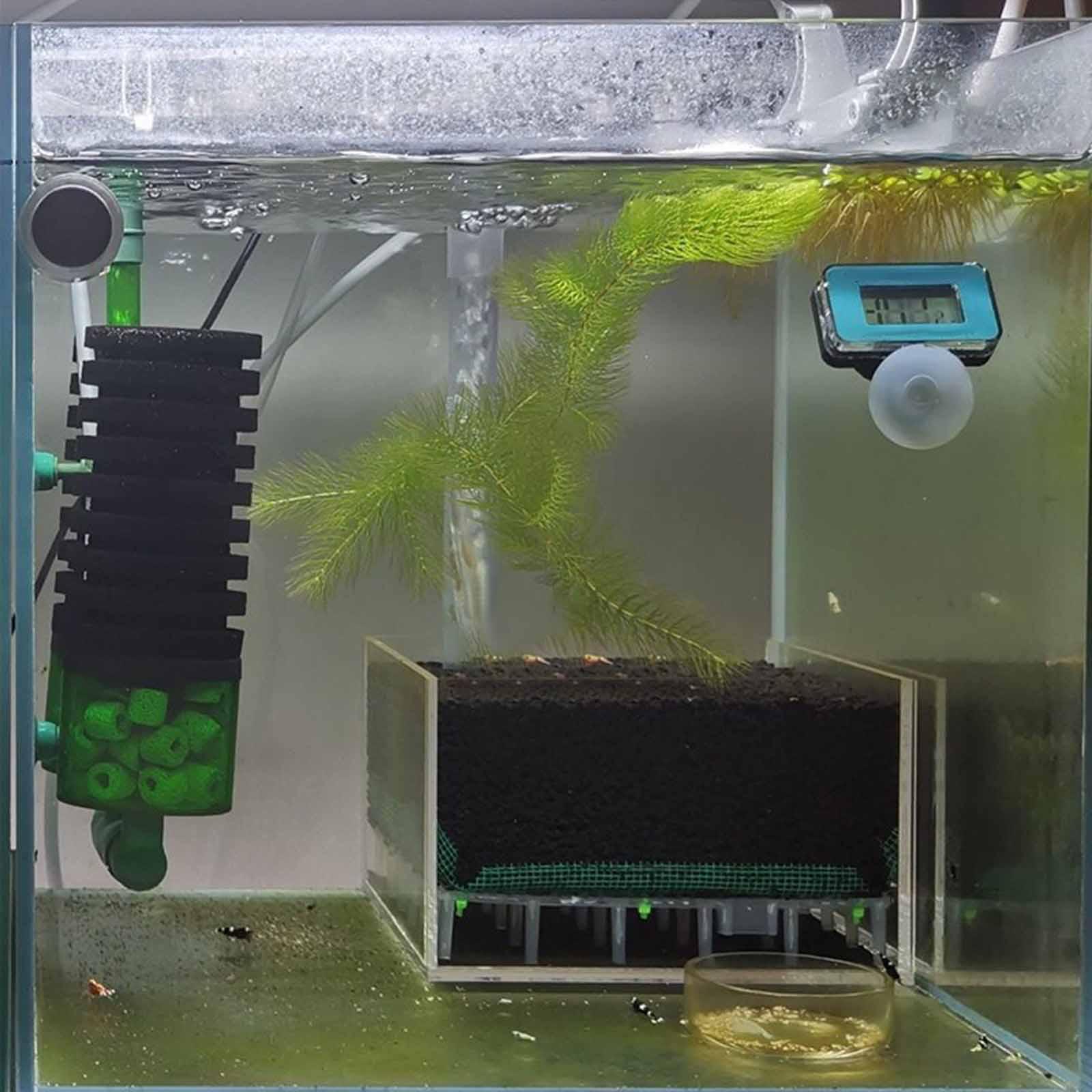 Transparent Acrylic Aquarium F - Planted Aquarium Undergravel Filter recension och pris