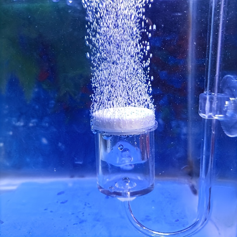 Aquarium Glass CO2 Atomizer Di - Aquarium Plant No Co2 recension och pris