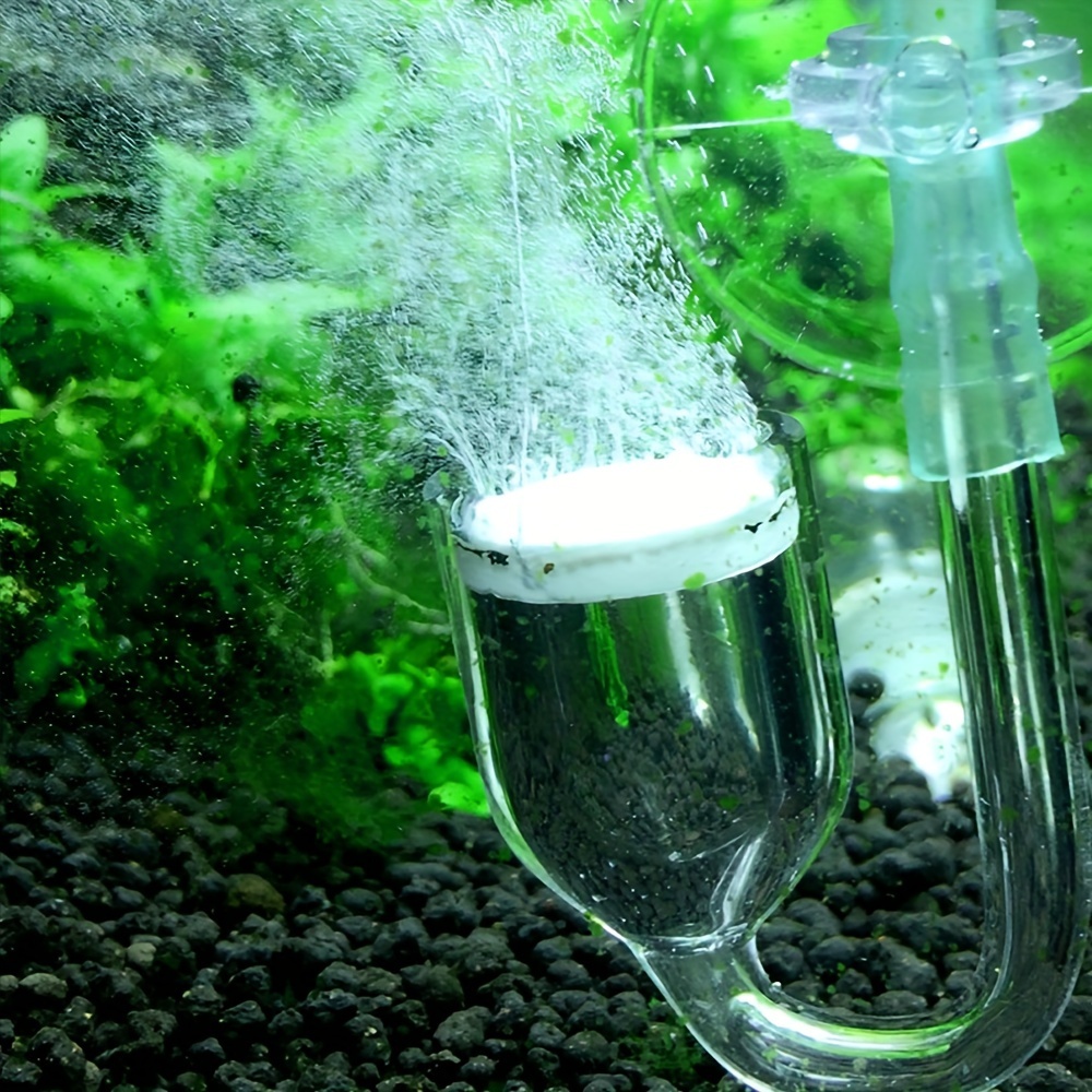 Aquarium Glass CO2 Atomizer Di - Aquarium Plant No Co2 recension och pris