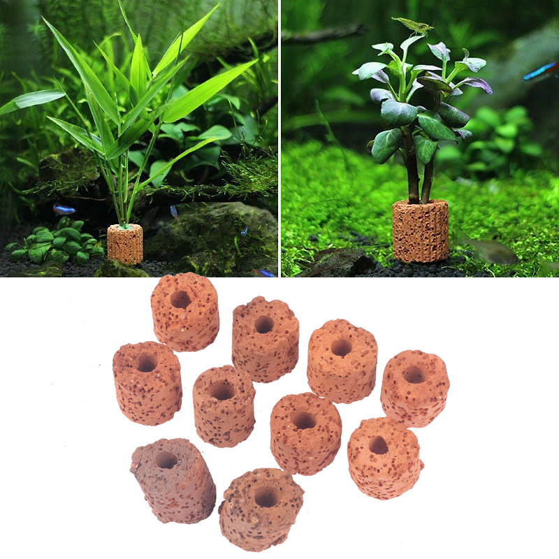 10Pcs Mini Aquatic Plant Ring  - Aquarium Planted Setup recension och pris