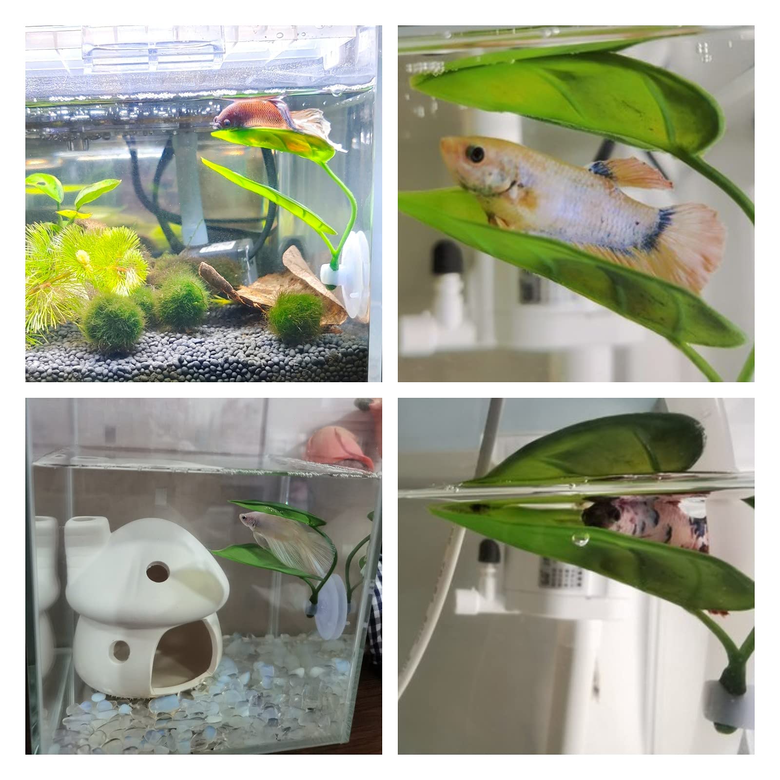 Pets Fish Tank Decor Betta Rel - Planted Aquarium For Betta recension och pris