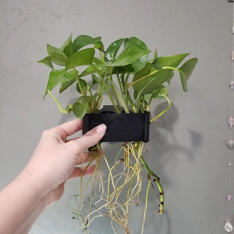 1 2 3Pcs Aquarium Plant Suppor - Aquarium Planted Setup recension och pris