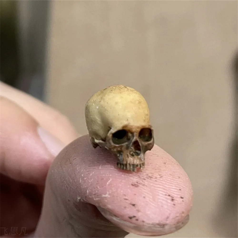 Mini Skull High Quality Miniat - Aquarium Plant Nursery recension och pris