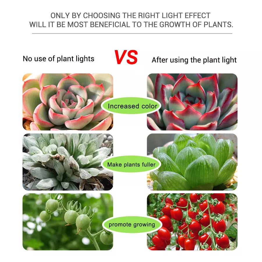 LED Strips 5V USB Phyto Tape I - Planted Aquarium Hours recension och pris