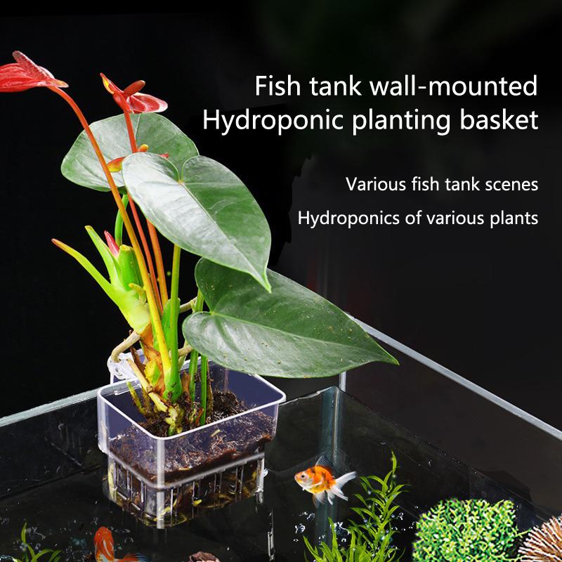 Aquarium Hydroponic Planting C - Aquarium Planted Setup recension och pris