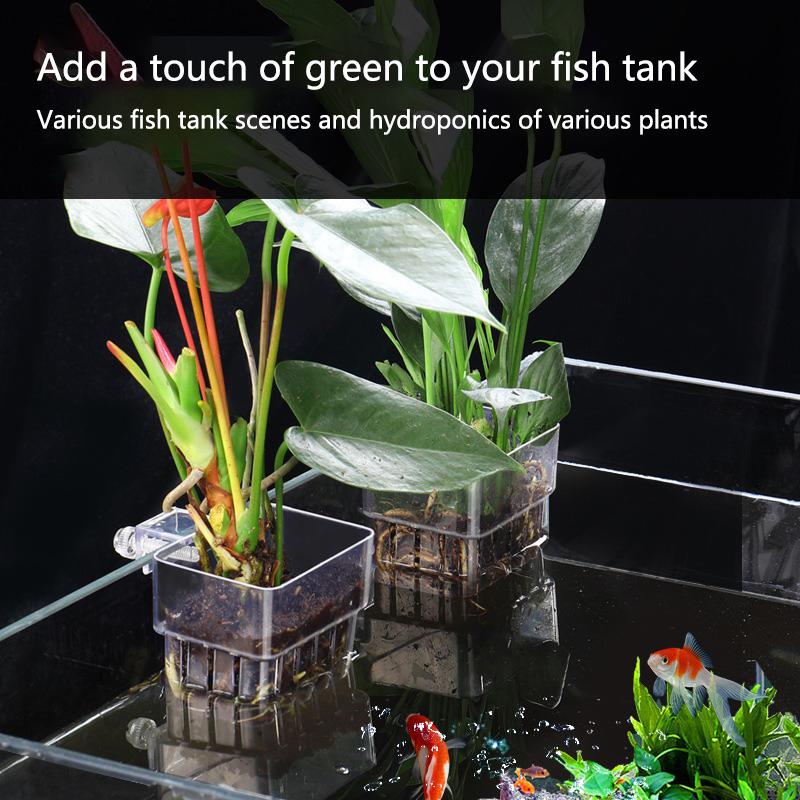 Aquarium Hydroponic Planting C - Aquarium Planted Setup recension och pris