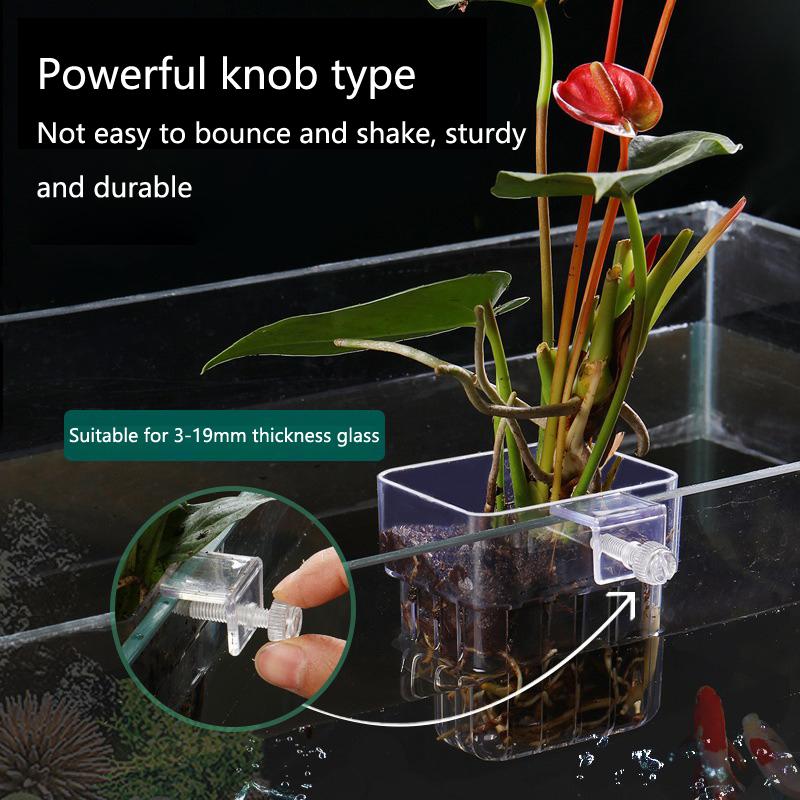 Aquarium Hydroponic Planting C - Aquarium Planted Setup recension och pris