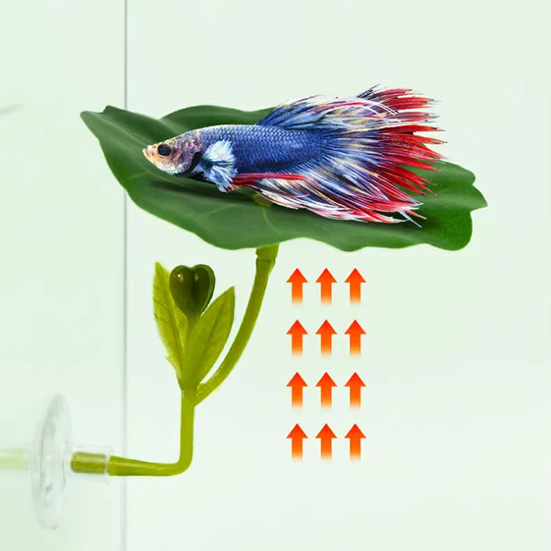 1 Pc For Betta Fish Stress-Red - Planted Aquarium For Betta recension och pris